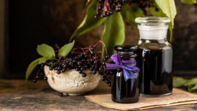 black elderberry