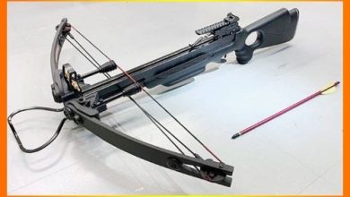 Best Crossbow Under 500