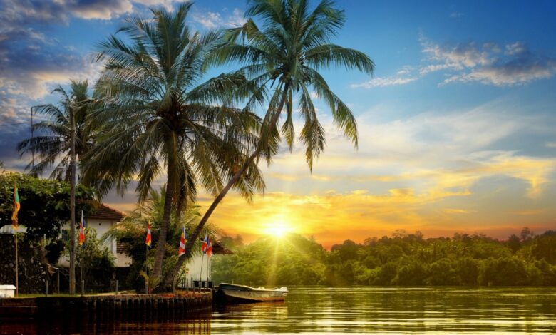 Sri Lanka Tour Packages