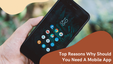 Top Reasons Why Should You Need A mobile App Development Company