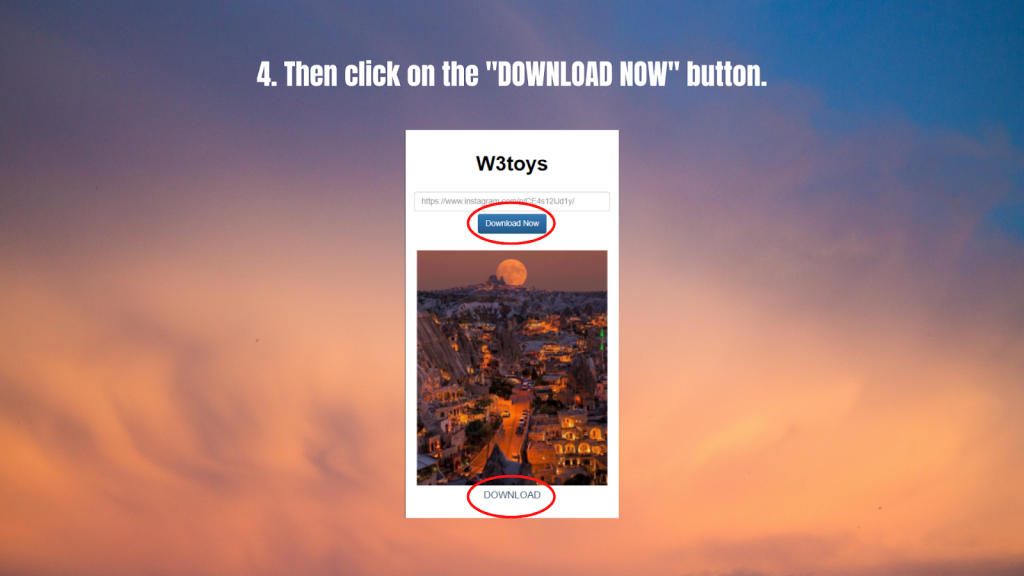 W3toys- download button