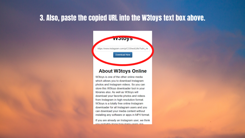 W3toys- input box
