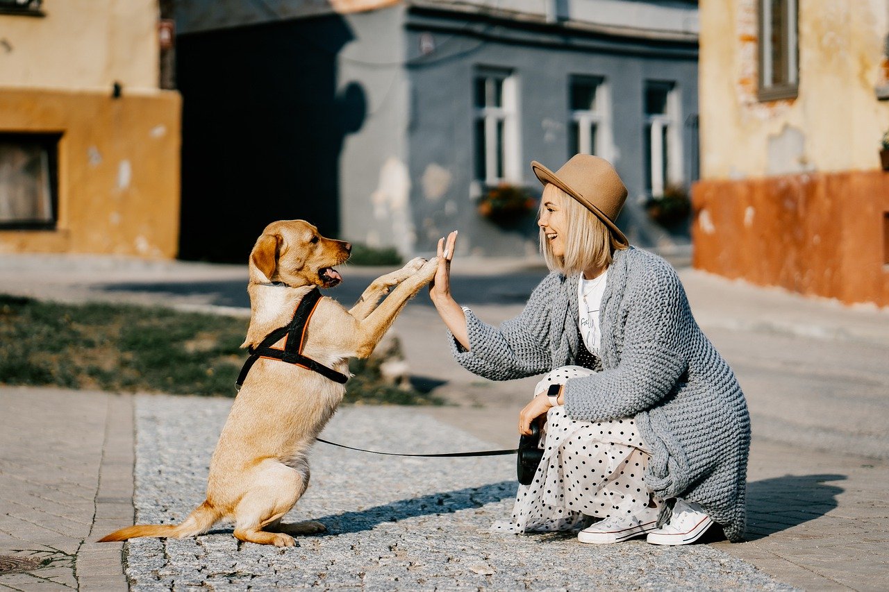 Why having a pet is good for your mental health