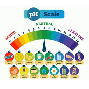 Alkaline water ph value