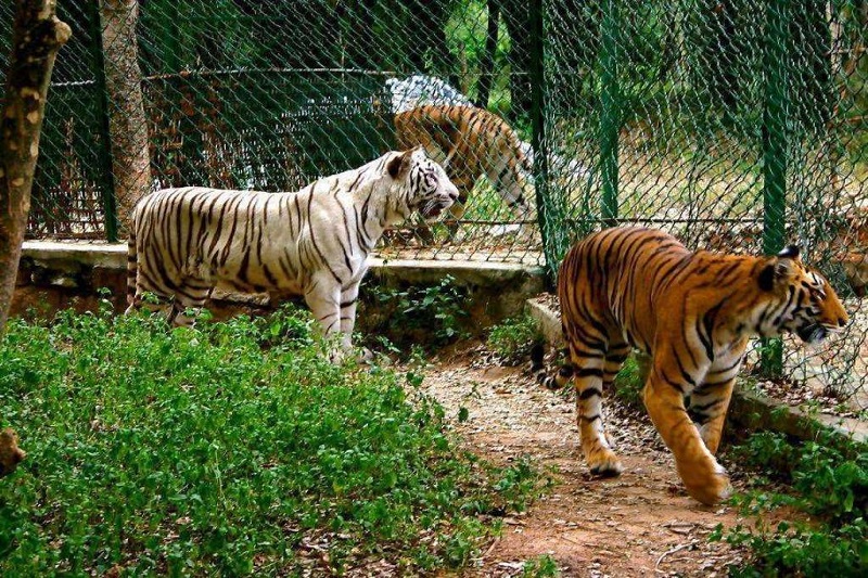 Five ultimate fun places to see in Bengaluru for all fun lovers!