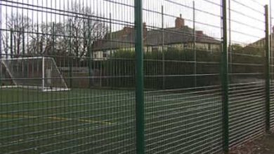 Mesh fencing