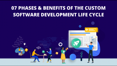 07 Phases of the CUSTOM SOFTWARE DEVELOPMENT LIFE CYCLE