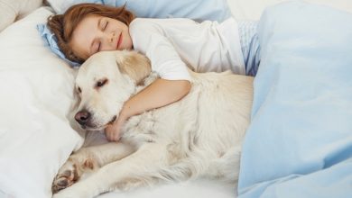 The 5 Benefits of Sleeping With A Dog - Best Explanation