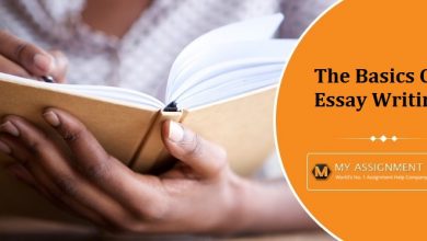 The Basics Of Essay Writing For Students