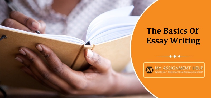 The Basics Of Essay Writing For Students