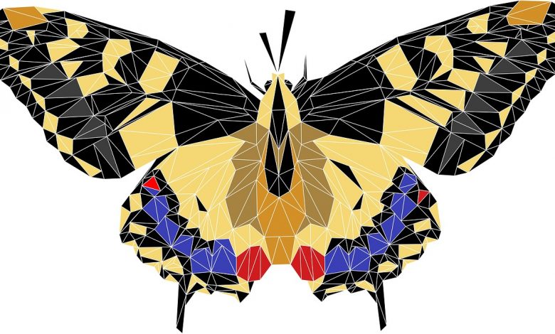 butterfly drawing