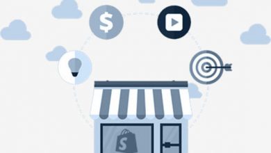 shopify custom development