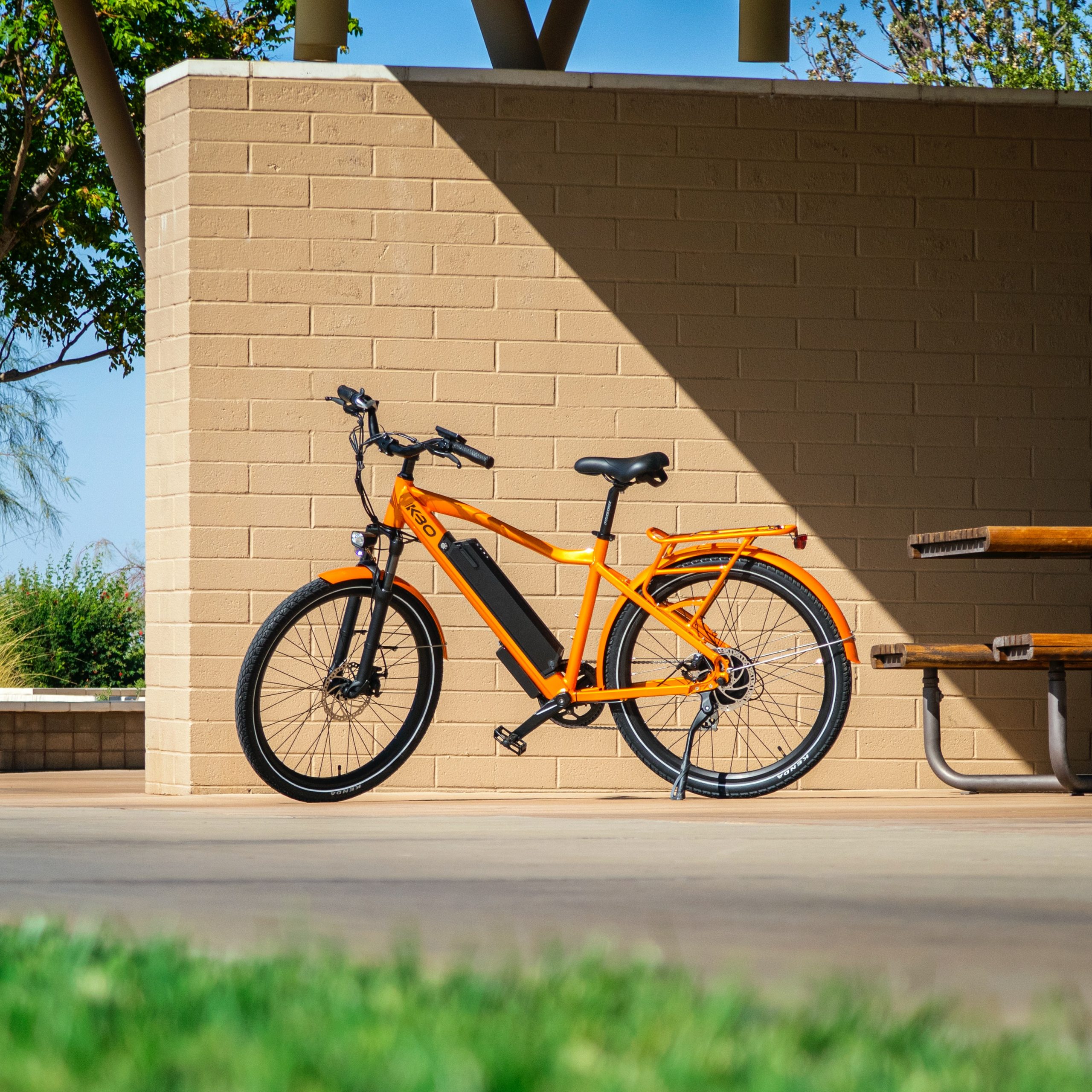 electric bike