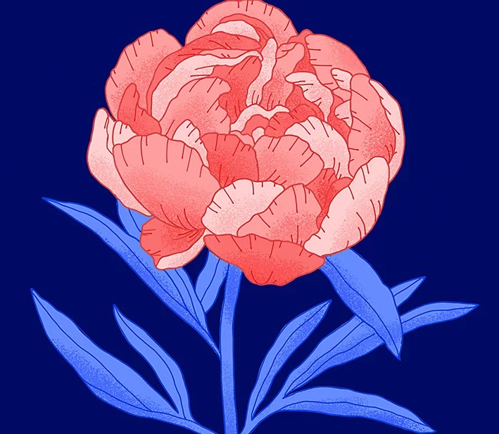 Flower Drawing