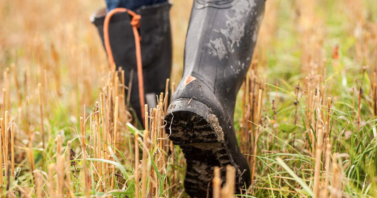 hiking in rubber boots