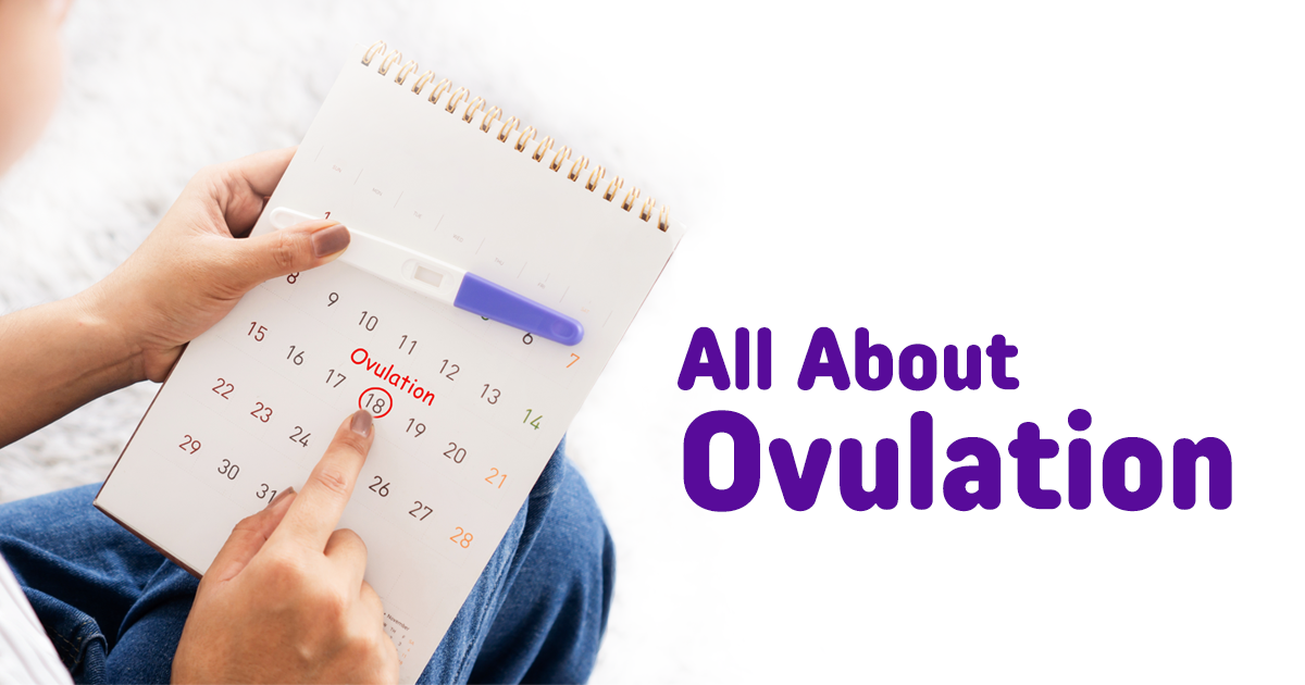 Photo of All About Ovulation and How It Affects Fertility