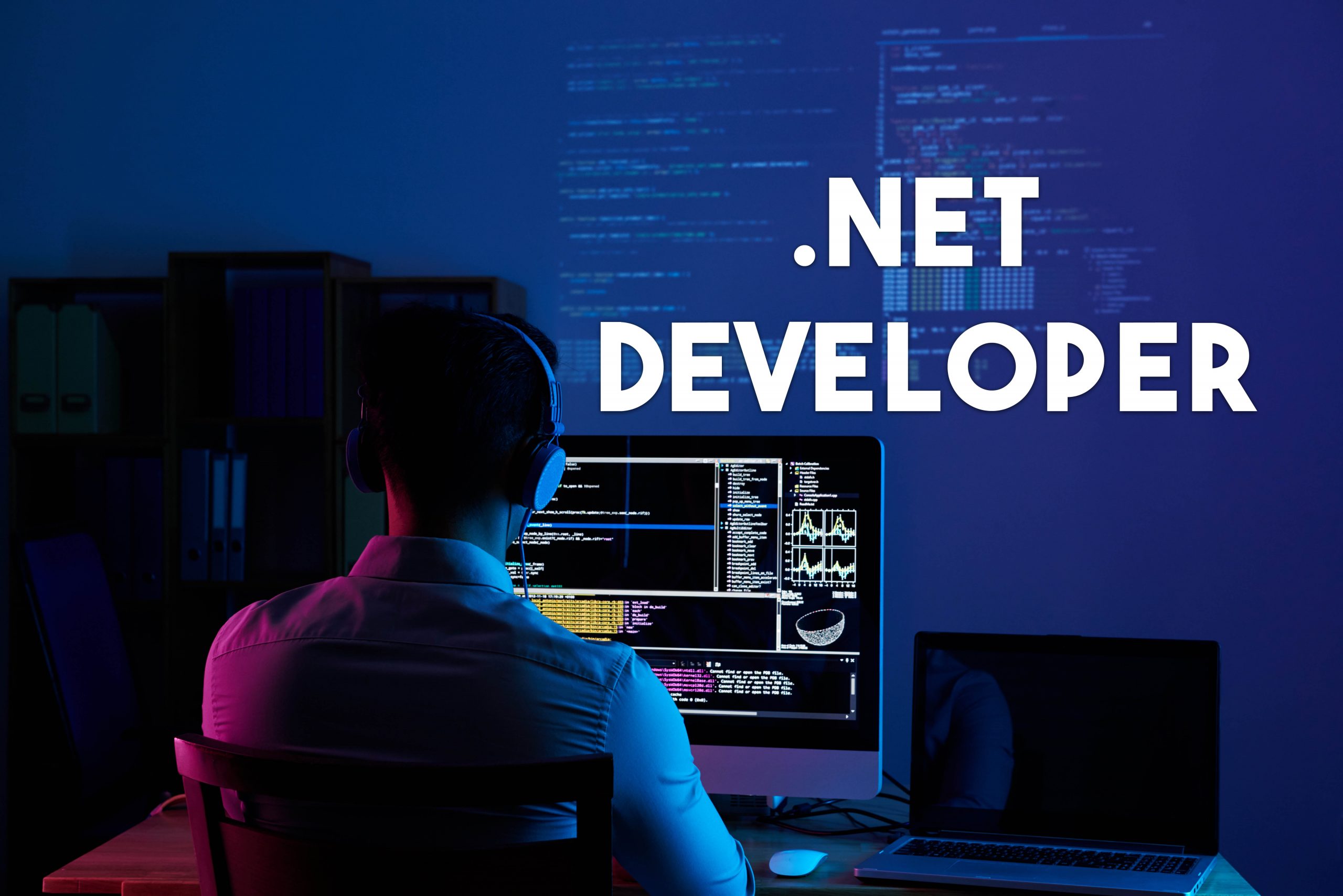 .net developer