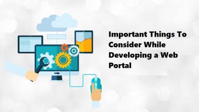 Important Things To Consider While Developing a Web Portal