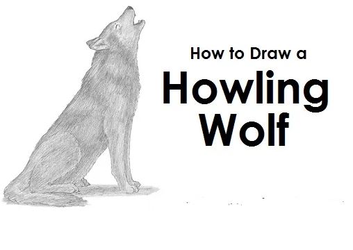 Wolf Face drawing