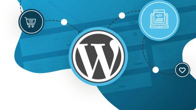 WordPress Developer