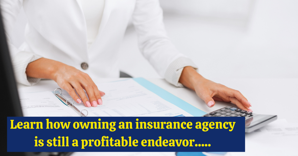 owning an insurance franchise