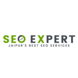 seo expert jaipur logo