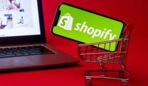 shopify development