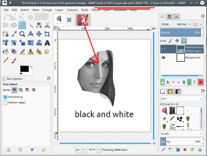 Using the magnetic lasso tool