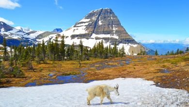 Unique Places to Visit in Montana