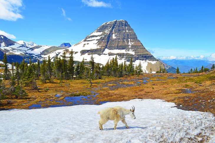 Unique Places to Visit in Montana