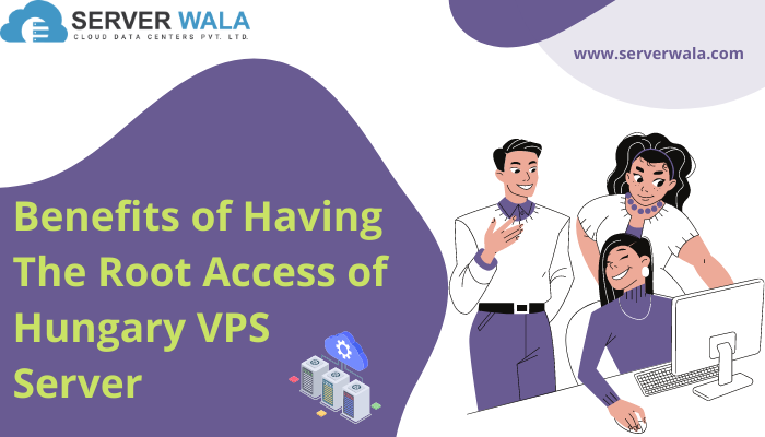 Working Process of VPS Hungary (1)