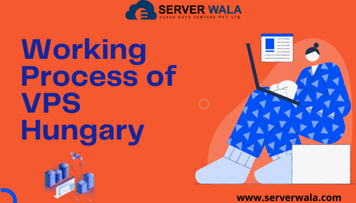 Working Process of VPS Hungary