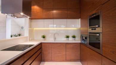 Kitchen Cabinets from -mstyle