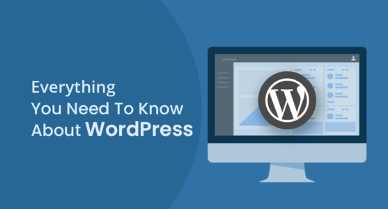 Interesting Things to Know About Wordpress Websites