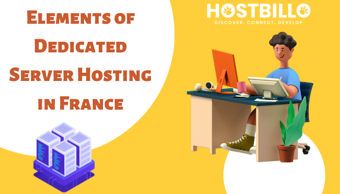 Elements of Dedicated Server Hosting in France