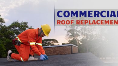 Photo of How Often Should You Replace the Roof?