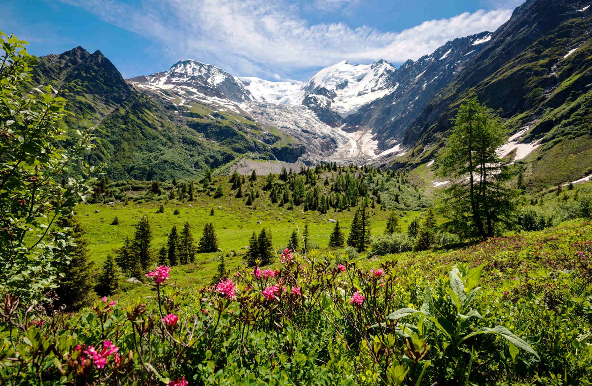 Best Camping Locations Around The World