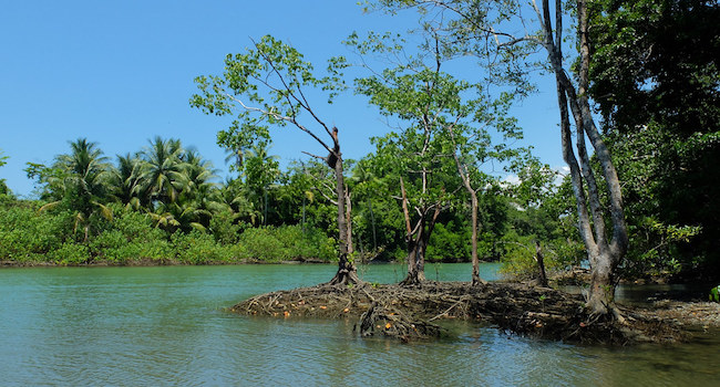 Corcovado National Park, Costa Rica