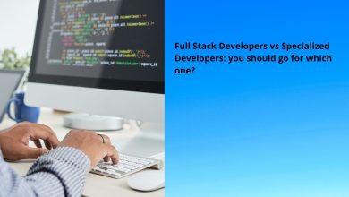 Full Stack Developers