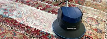 Photo of Professional Carpet Cleaning: Top Reasons Why It Is A Good Idea