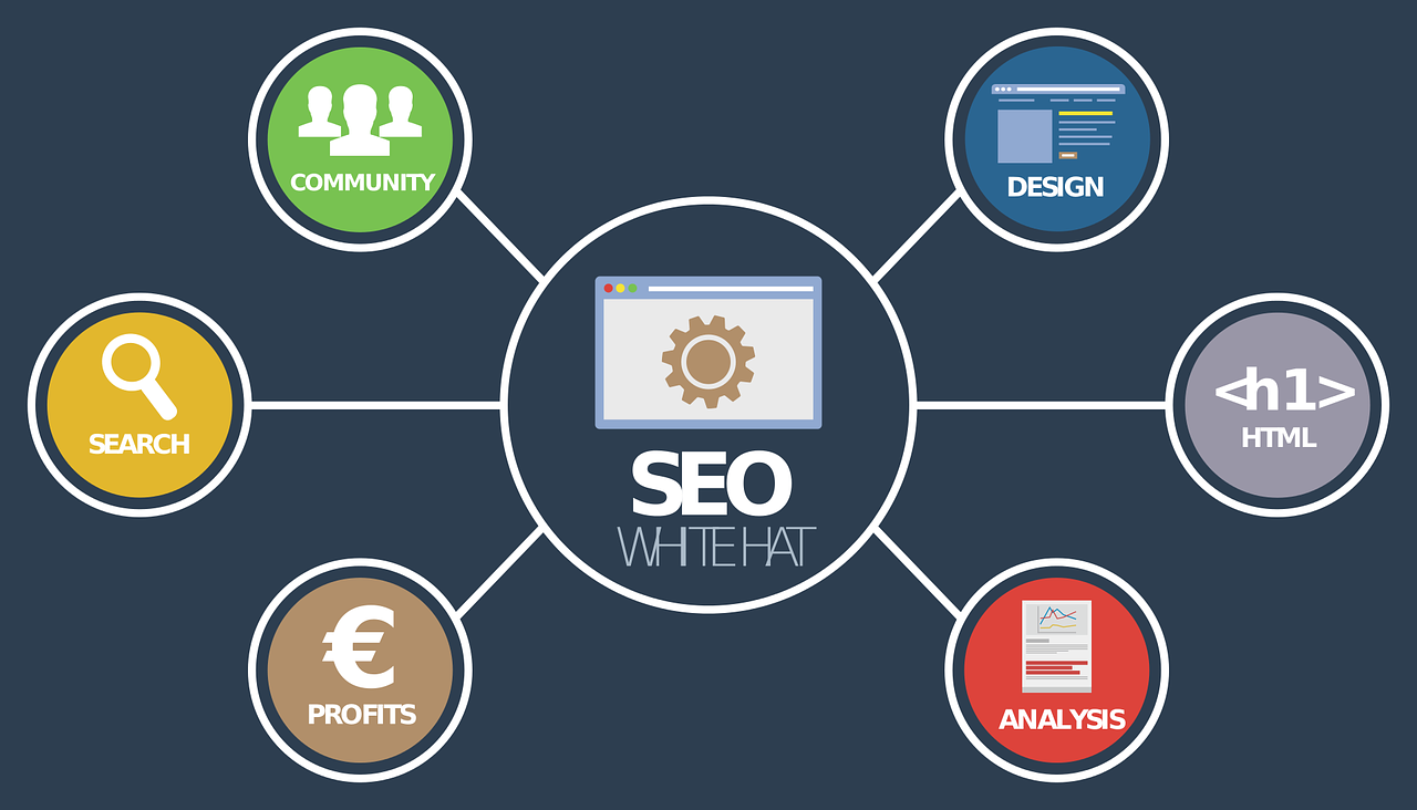 Seo Company In Jaipur