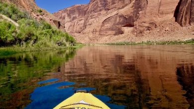 Photo of What are the Best Outdoor Activities in Las Vegas?