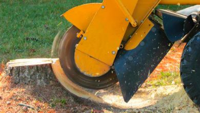 Stump Grinding